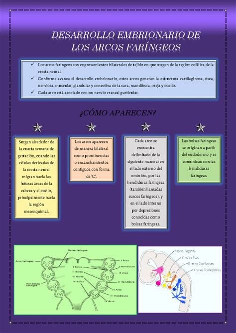 Esquema de los arcos de desarrollo de personajes en manhwa