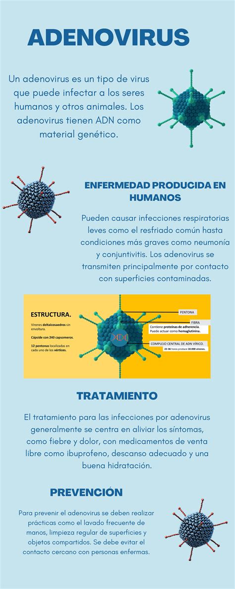 Infografía sobre la propagación y síntomas de los adenovirus
