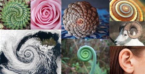 Esquema de la influencia de las espirales en la psique humana