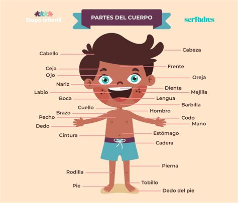 Buggy separando sus partes del cuerpo