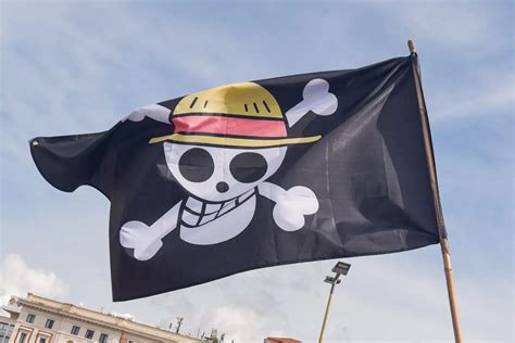 Bandera de One Piece utilizada en una protesta