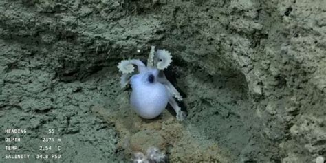 Representación artística del primer bebé de las nuevas especies