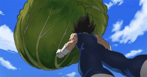 Ilustración de los personajes Saiyan con sus nombres y el significado vegetal asociado.