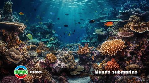 Aria explorando un mundo submarino misterioso