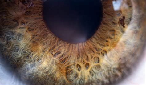 Primer plano de un ojo Byakugan, mostrando su distintivo patrón y venas
