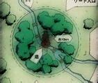 Mapa del Bosque de la Muerte con la torre central