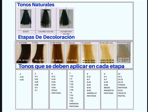 Tabla comparativa de tonos de cabello antes y después de la decoloración
