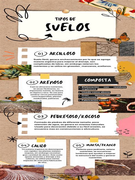 Infografía sobre los diferentes tipos de envíos disponibles.