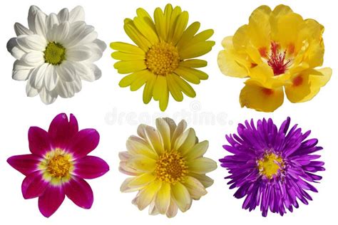 Ilustración de varios tipos de Bukijutsu