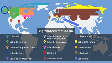 Mapa de distribución mundial de lobos grises