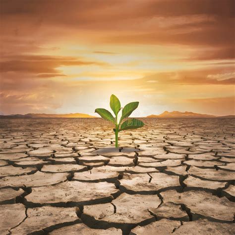 Sasuke Uchiha en un paisaje desolado