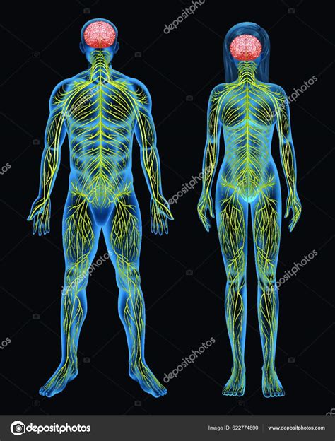 Ilustración del Satori