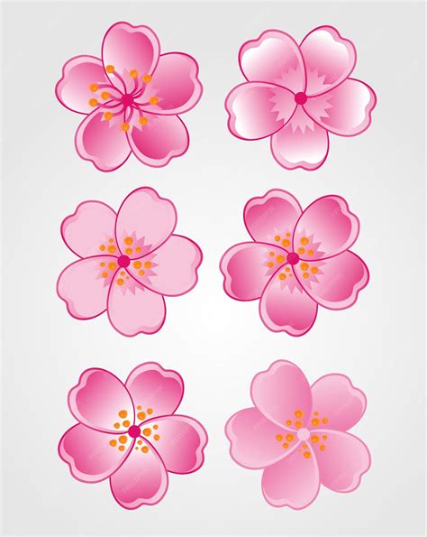 Ilustración de una flor de cerezo