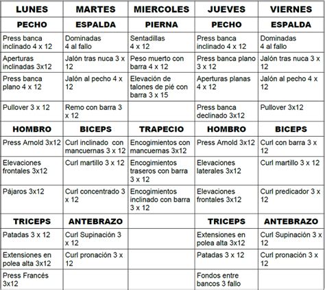 Esquema de rutina semanal para principiantes