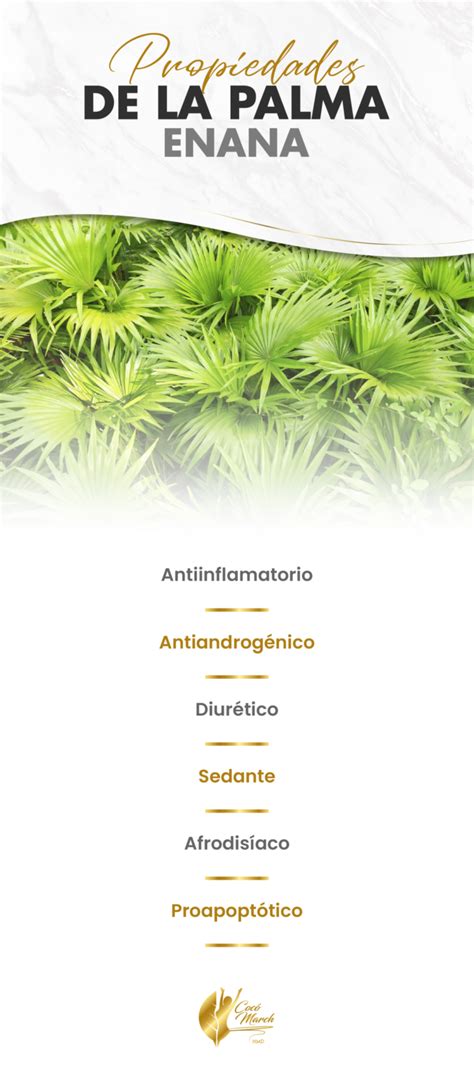 Infografía que compara los efectos de la palma enana americana en la salud prostática y el crecimiento del cabello.