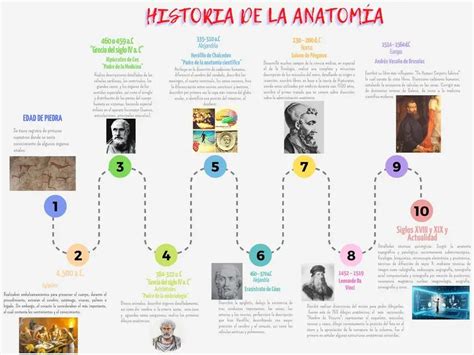 Infografía que muestra la línea de tiempo de los eventos clave en Attack on Titan