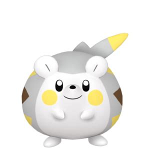 Togedemaru erizando sus púas