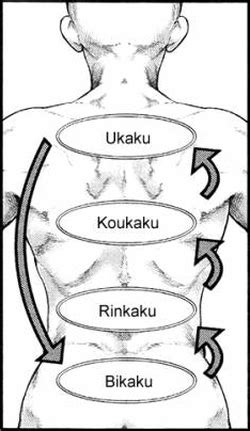 Diagrama de los diferentes tipos de Kagune Ghoul: Ukaku, Koukaku, Rinkaku y Bikaku