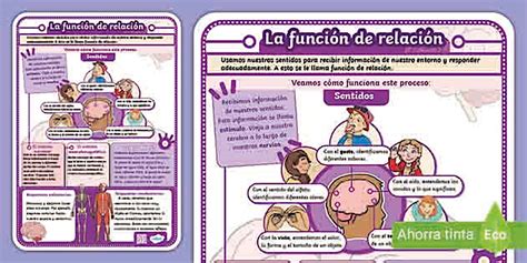 Infografía sobre la relación entre Morinaga y Souichi