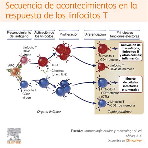 Secuencia de activación de los Raid Suits