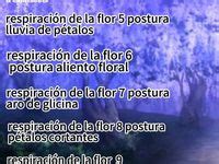 Diagrama de las diferentes Respiraciones de los Pilares