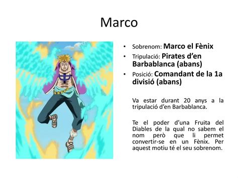 Personatges clau de One Piece