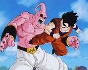 Son Gohan contra Boo 1ra Ronda
