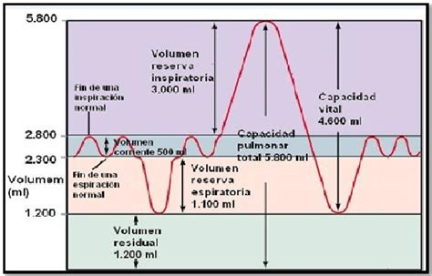 Diagrama de las capacidades y volúmenes pulmonares