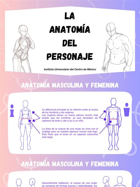 anatomía del personaje manga