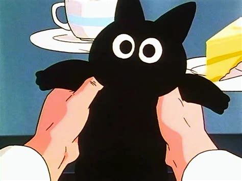 Dr. Brief con su gato Tama