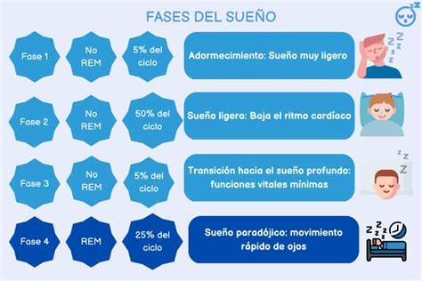 Esquema de horarios de sueño de los personajes de One Piece
