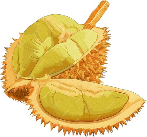 Ilustración de la Fruta Nemu Nemu
