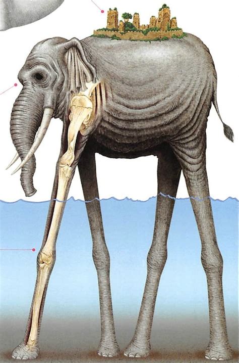 Elefante gigante Zunesha