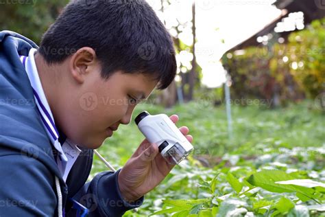 Niño usando un microscopio de bolsillo para observar una hoja