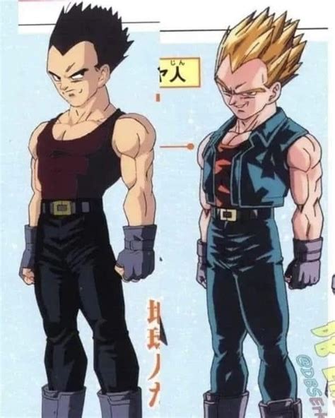 Vegeta en su forma base