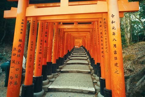 Camino sagrado con puertas torii en Bleach