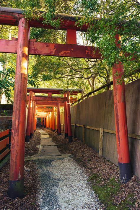Puertas torii y Shide en un santuario sintoísta