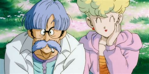 El Dr. Brief y Panchy, padres de Bulma