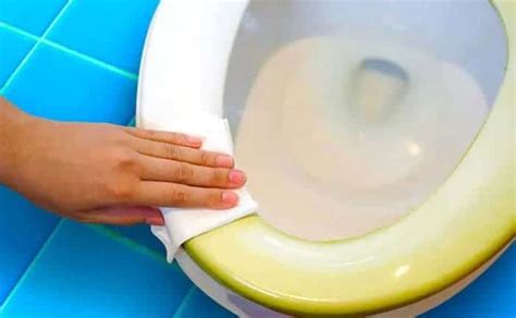 Diagrama mostrando cómo aplicar lejía bajo el borde del inodoro