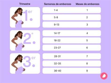 Representación gráfica de las semanas de gestación y los puntos de corte para aborto y muerte fetal.
