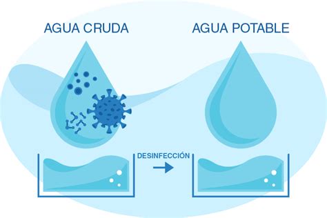 Diagrama explicando cómo el cloro desinfecta el agua