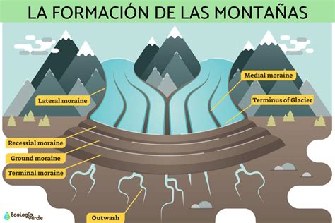 Formación de los Vizards