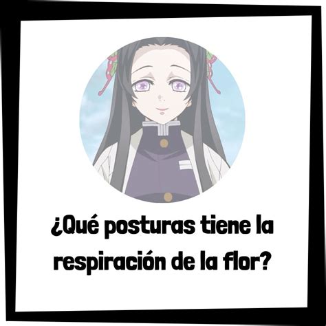 Ilustración de las 13 posturas de la Respiración del Sol