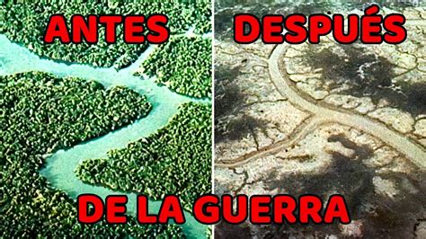 Kaneki reflexivo después de la batalla