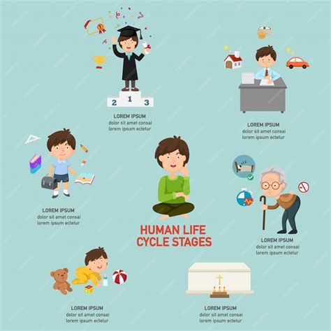 Infografía sobre el ciclo de vida de una norma CENELEC