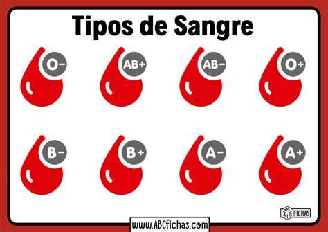 Infografía sobre los tipos de sangre y donaciones en One Piece