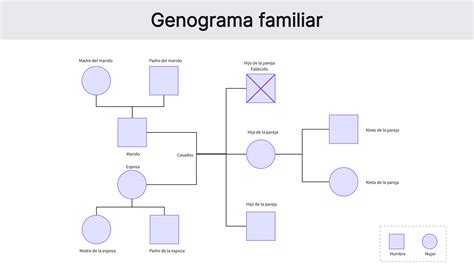 Diagrama de la estructura familiar de los Vinsmoke y su relación con el Germa 66