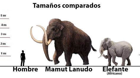 Comparación de tamaño entre un gigante y un humano en One Piece