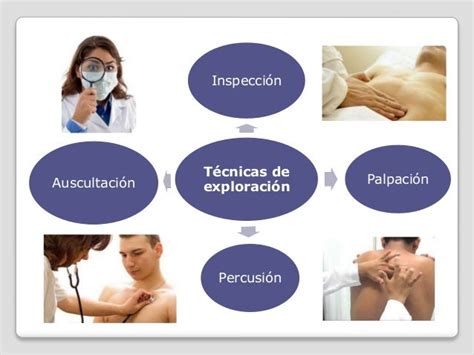 Diagrama de las cuatro técnicas de exploración física: inspección, palpación, auscultación y percusión