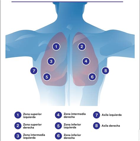 Esquema detallado de los puntos de auscultación pulmonar